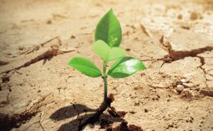 چطور میشه احساس هیچ بودن کرد ولی شاد بود؟